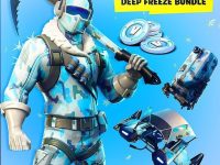 Fortnite Deep Freeze Bundle EU PS4 CD Key