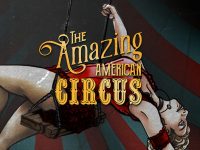 The Amazing American Circus EU Steam CD Key