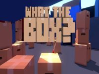What The Box? EU Steam CD Key
