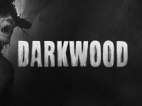 Darkwood EU Steam Altergift