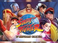 Street Fighter 30th Anniversary Collection EU Steam CD Key