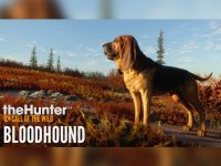 theHunter: Call of the Wild - Bloodhound DLC EU Steam Altergift