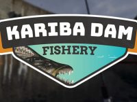 Ultimate Fishing Simulator - Kariba Dam DLC EU Steam CD Key