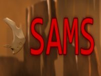 SAMS EU Steam CD Key
