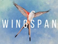 Wingspan EU Steam CD Key