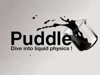 Puddle EU Steam CD Key